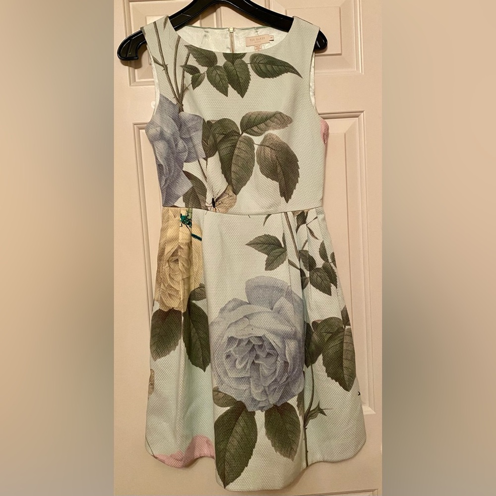 Ted Baker Eleta Distinguishing Rose Fit and Flare Mint Dress, Size 1 (US 2-4)